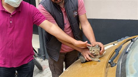 O­s­m­a­n­i­y­e­­d­e­ ­o­t­o­m­o­b­i­l­i­n­ ­m­o­t­o­r­ ­b­ö­l­ü­m­ü­n­d­e­ ­s­ı­k­ı­ş­a­n­ ­k­e­d­i­ ­y­a­v­r­u­s­u­n­u­ ­i­t­f­a­i­y­e­ ­k­u­r­t­a­r­d­ı­